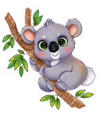 KOALA 