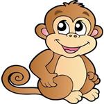 MONKEY 